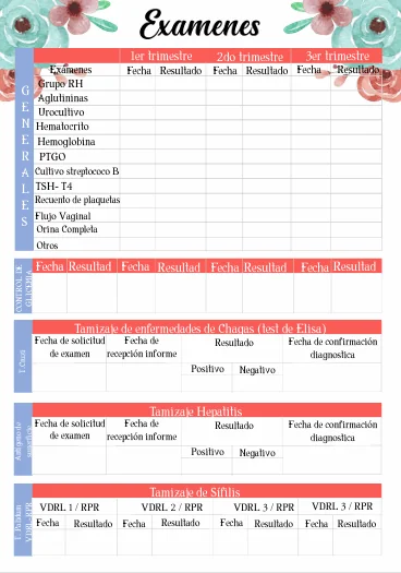 Página de exámenes por trimestre de la agenda prenatal